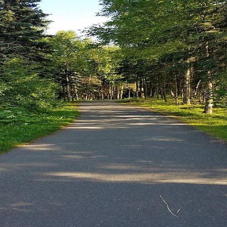 Moose Meadows- Near The Airport, Centrally Located Anchorage Exteriér fotografie