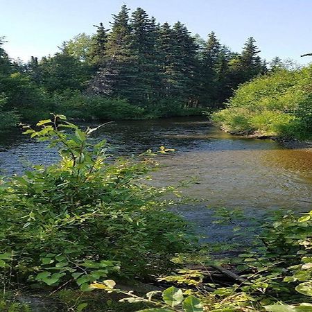Moose Meadows- Near The Airport, Centrally Located Anchorage Exteriér fotografie