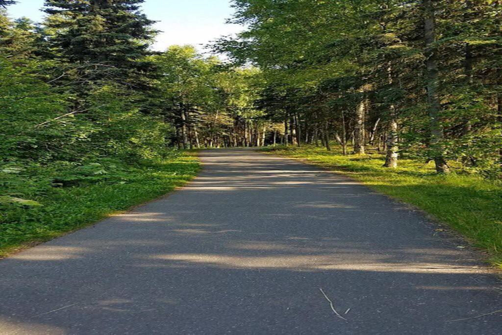 Moose Meadows- Near The Airport, Centrally Located Anchorage Exteriér fotografie
