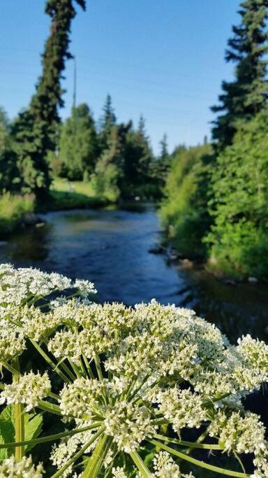 Moose Meadows- Near The Airport, Centrally Located Anchorage Exteriér fotografie