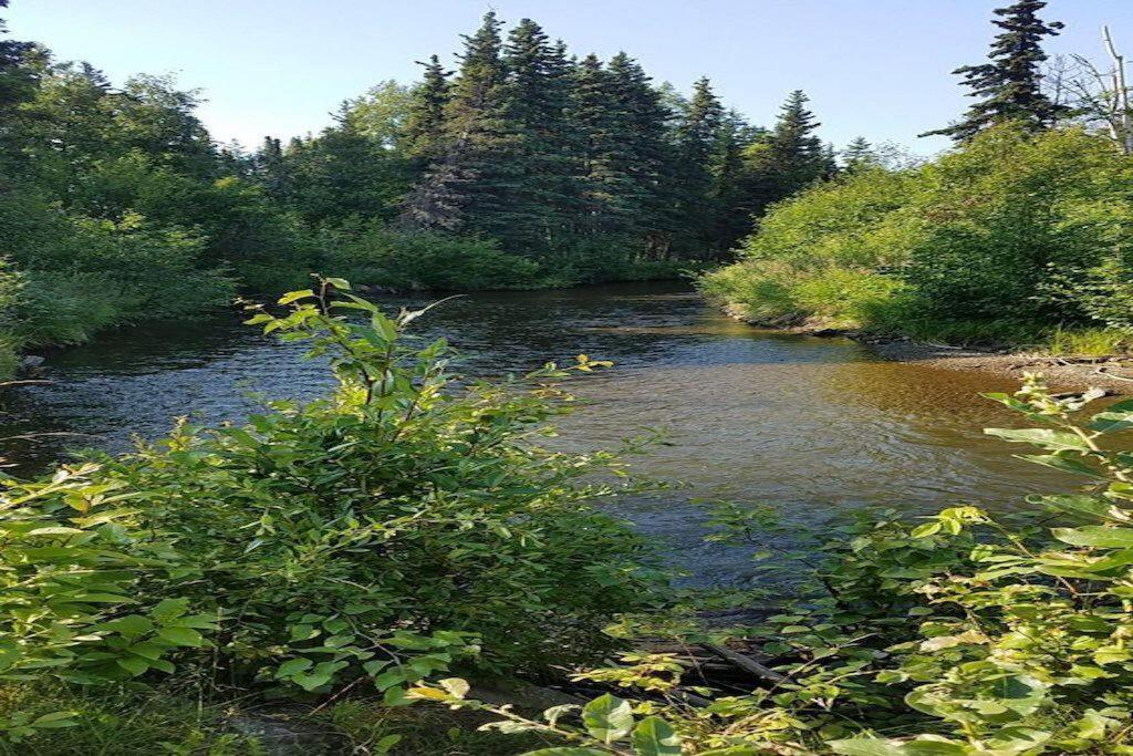 Moose Meadows- Near The Airport, Centrally Located Anchorage Exteriér fotografie